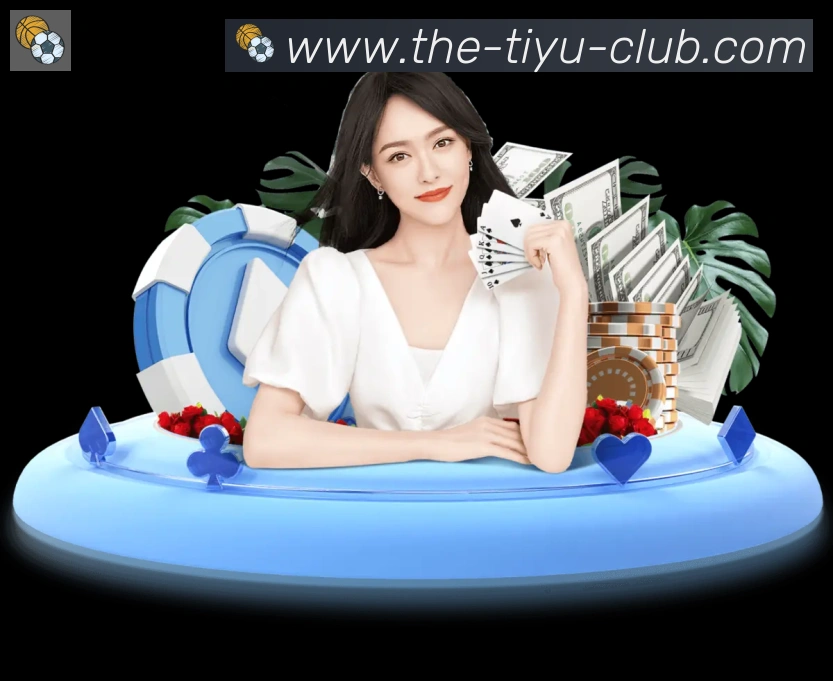 TVT体育荣誉